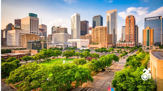 Top Reasons to Choose Reckless Wheelchairs for Made in Houston, Texas